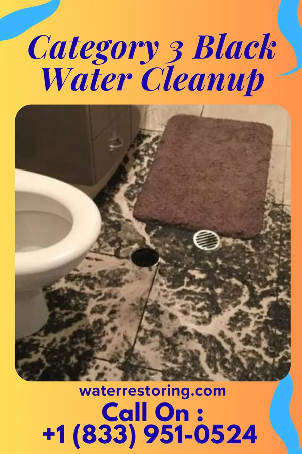 Category 3 Black Water Cleanup in Appleton City, MO