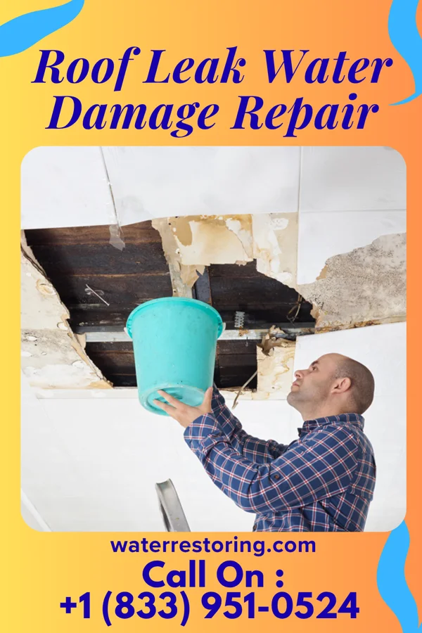 Roof Leak Water Damage Repair in Appleton City, MO